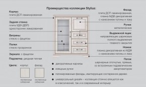 Прихожая модульная Стилиус в Южноуральске - yuzhnouralsk.magazinmebel.ru | фото - изображение 2
