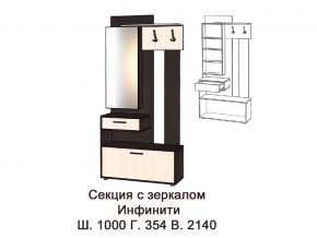 Секция с зеркалом в Южноуральске - yuzhnouralsk.magazinmebel.ru | фото